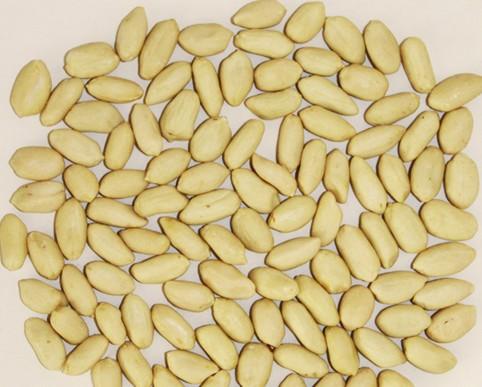 GROUNDNUT KERNELS BLACNCHED VIRGINIA TYPE