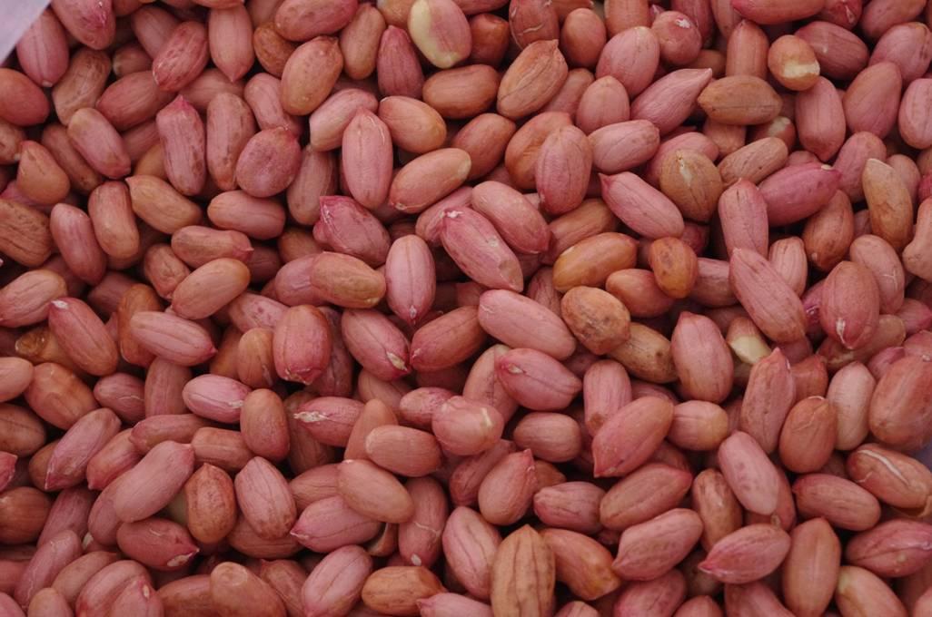 Groundnut kenrnels flower type and darli type