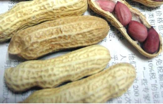 3 grains Groundnut Inshell(jiyou type)
