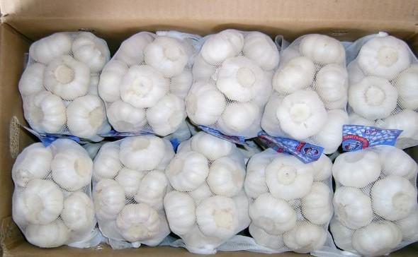 Fresh Garlic (Pure White)