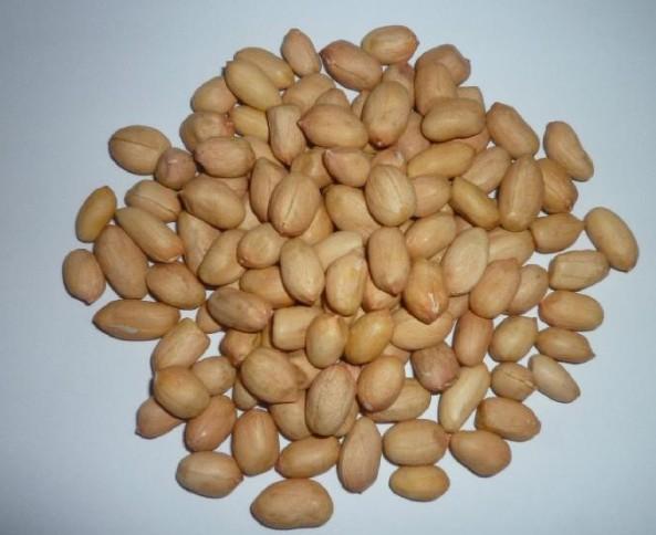 Groundnut kernels (hsuji type)