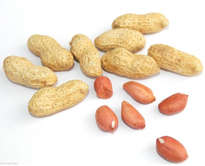Groundnut Inshell super big size